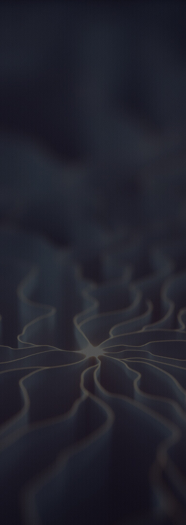 加入XPJ(中国区) - 有限公司官网